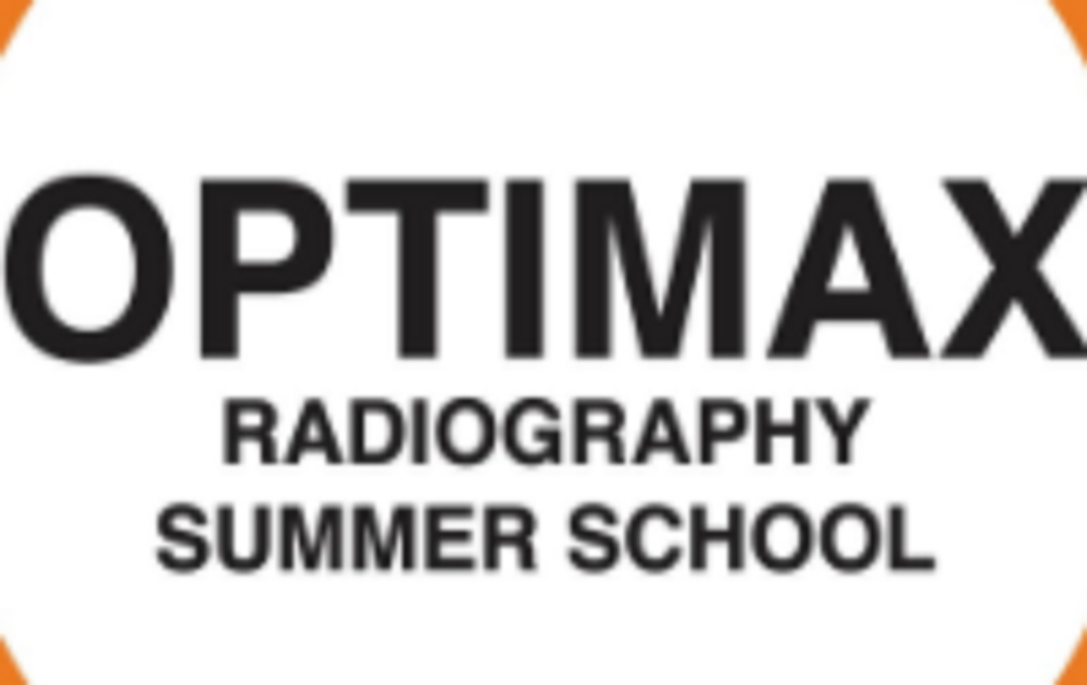 The impact of the OPTIMAX summer school to our profession