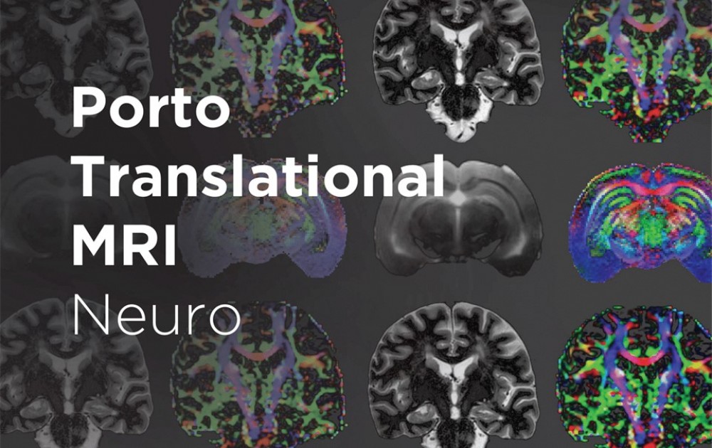Porto Translational MRI: Neuro
